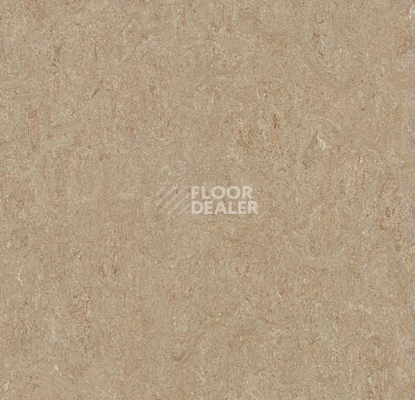 Линолеум Forbo Marmoleum Marbled Terra 5803-580335 weathered sand фото 1 | FLOORDEALER
